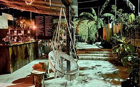 Jungla Bacalar
